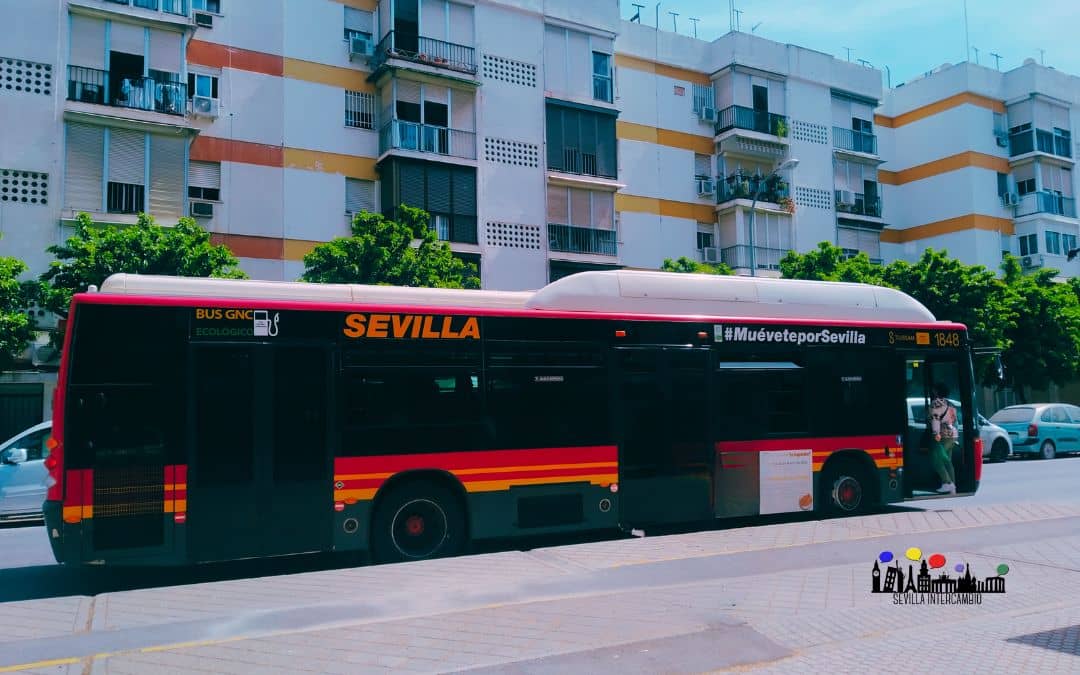 Autobús urbano para mverte por Sevilla