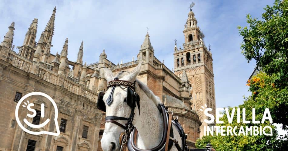 catedral sevilla