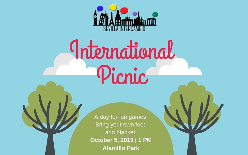 picnic internacional meeting with friends