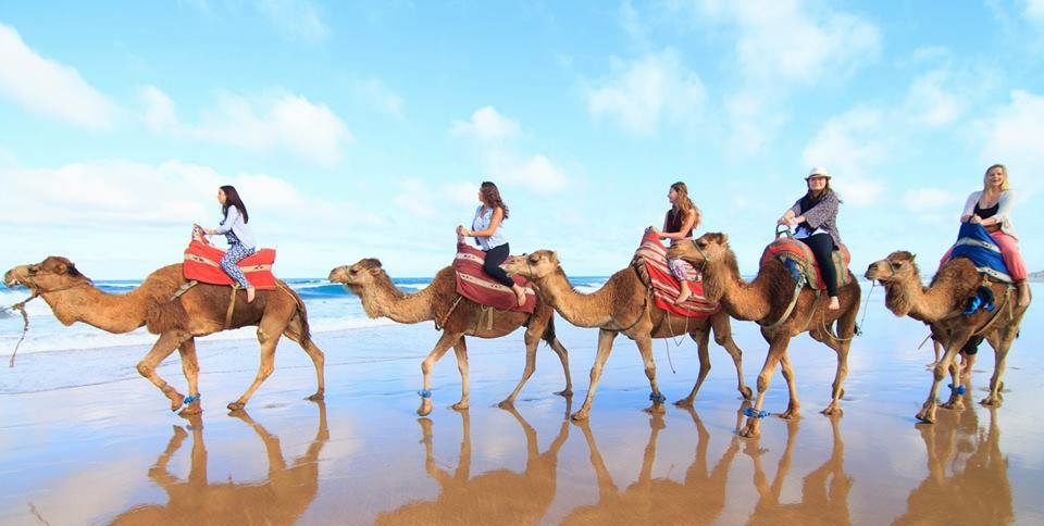 Paseo en camello por la playa